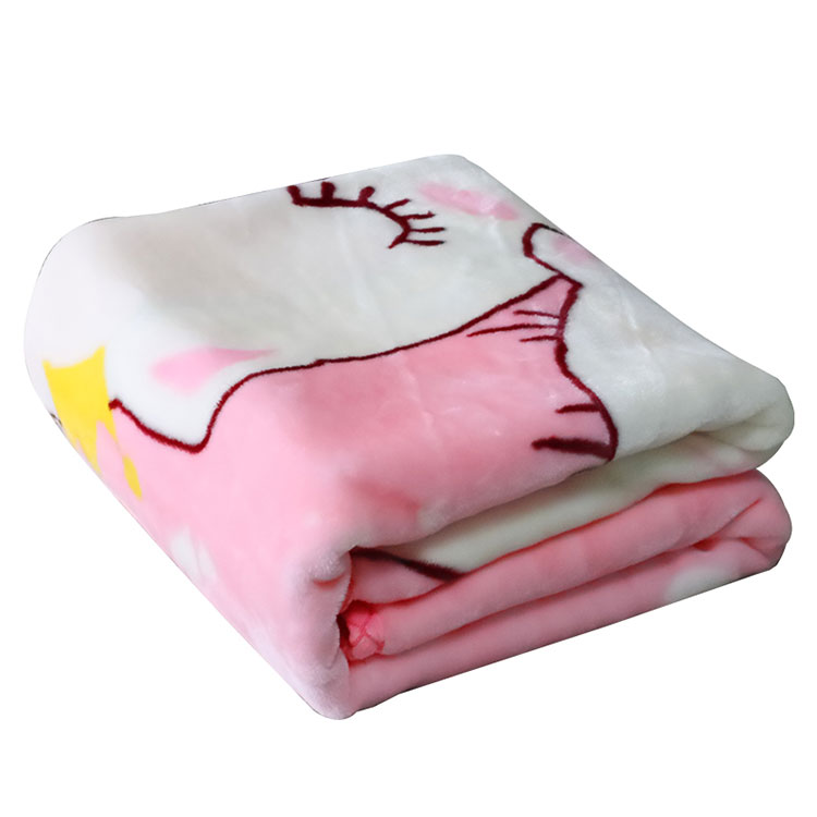 Korean Style Plush Raschel Mink Blankets