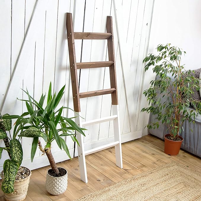 Wooden Ladder Shelf