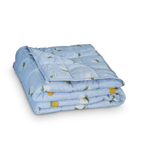 Summer Blanket