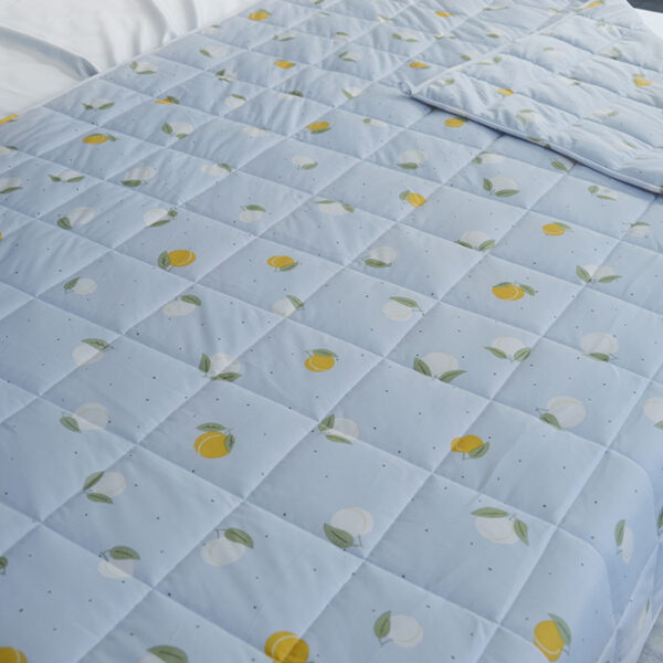 Summer Blanket - 图片 3