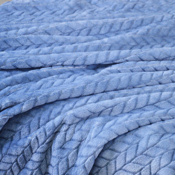Embossed raschel Blankets - 图片 5