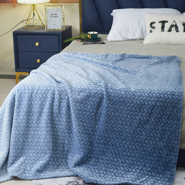 Embossed raschel Blankets - 图片 2