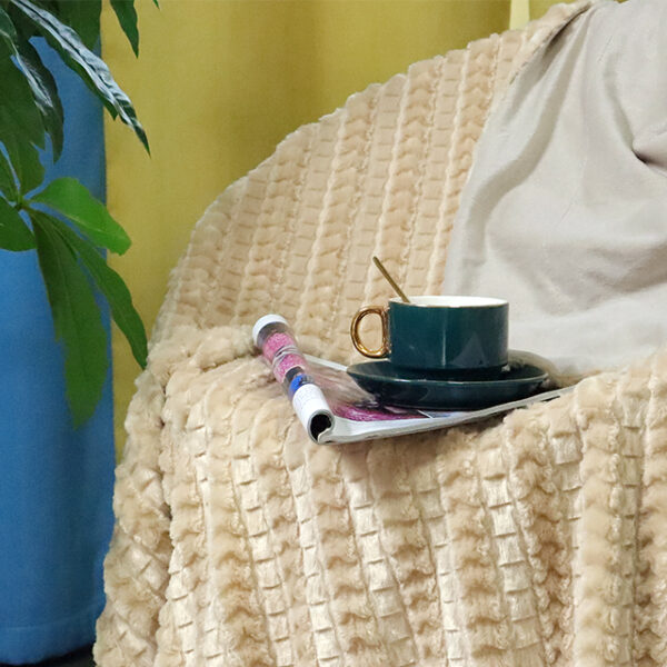 Double Larye Plush PV Fleece Blankets - 图片 4