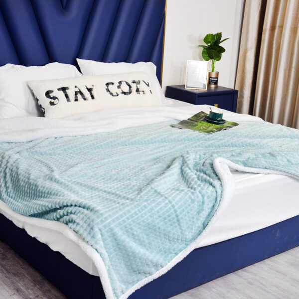 Sherpa Fleece Flannel Blankets - 图片 4