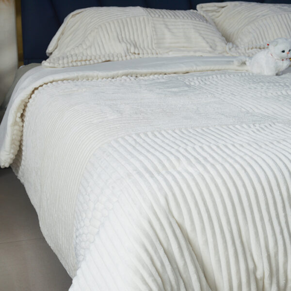 Comforter Set Blankets With Pillow Sham - 图片 2