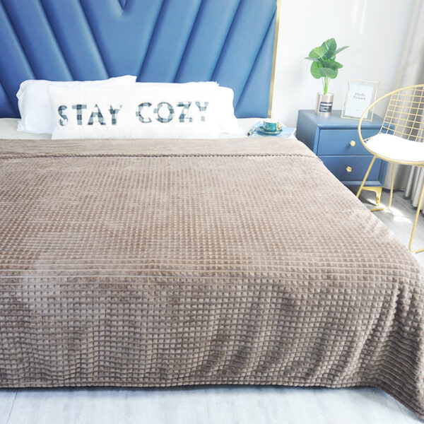 Solid Color Thick Warm Luxury Flannel Mink Blankets - 图片 3