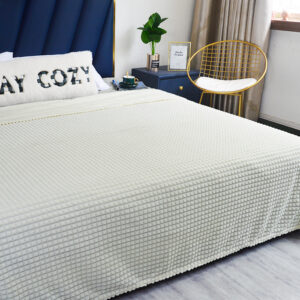 Solid Color Thick Warm Luxury Flannel Mink Blankets