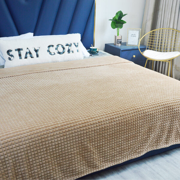 Solid Color Thick Warm Luxury Flannel Mink Blankets - 图片 2