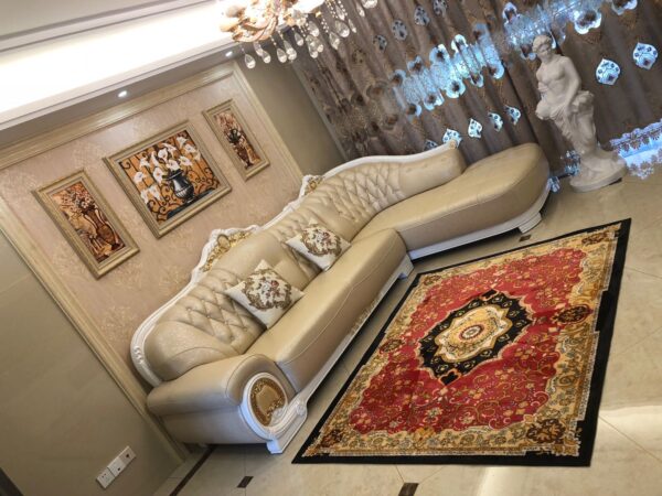 Rugs living room large - 图片 2