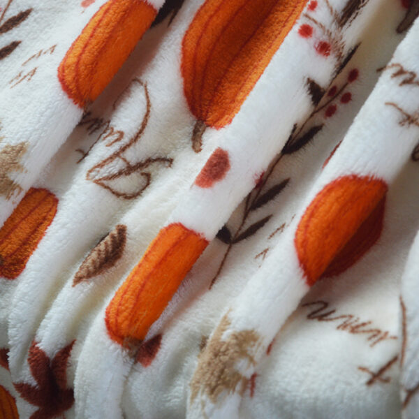 Home Decorative Flannel Fleece throw Blankets - 图片 2