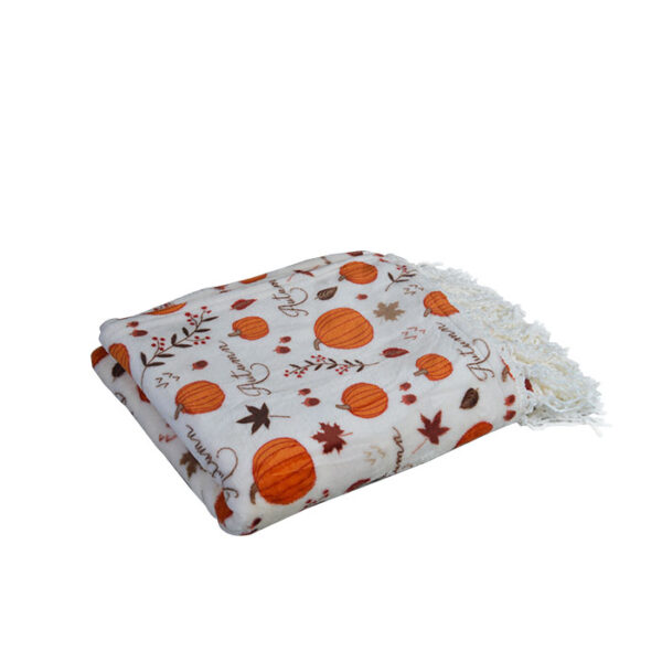 Home Decorative Flannel Fleece throw Blankets - 图片 3
