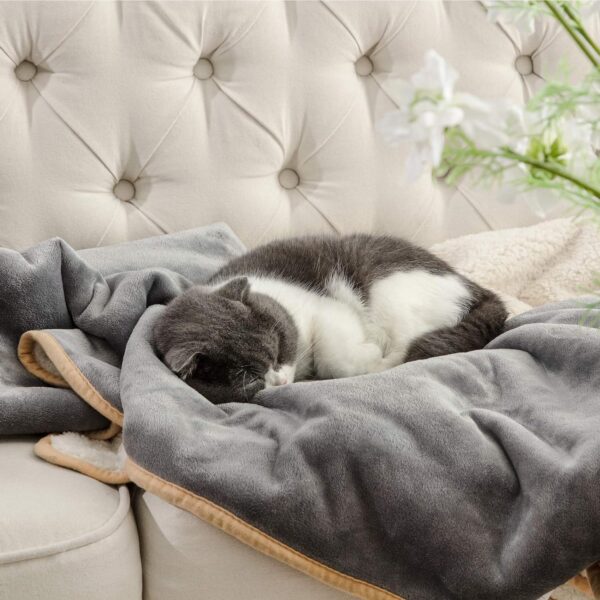 Pet Sherpa Blankets - 图片 5